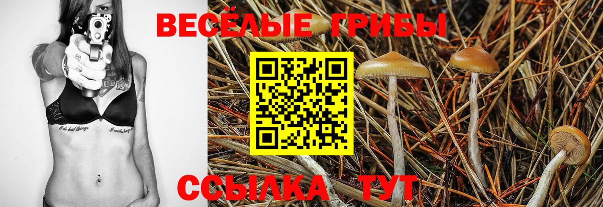 Галлюциногенные грибы Cubensis Михайловка