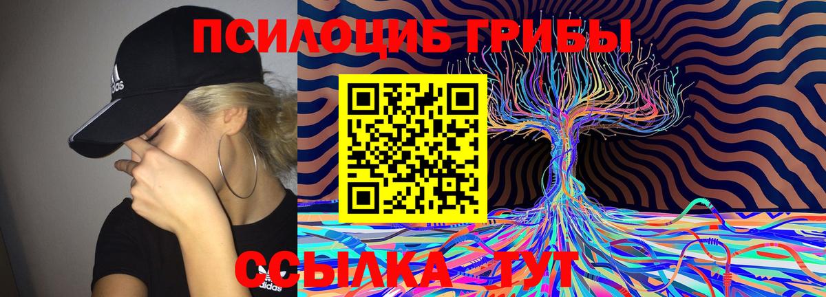 Михайловка  Псилоцибиновые грибы Cubensis  Вход с VPN 